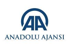 aa partner icon